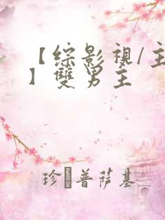 【综影视/主攻】双男主