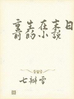 重生在末日降临前的小说