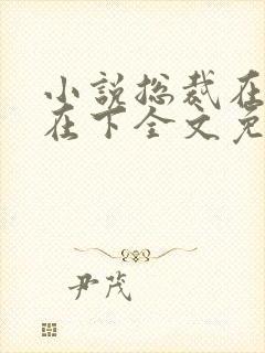 小说总裁在上我在下全文免费阅读