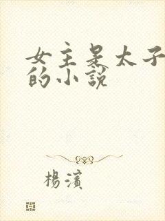 女主是太子宠妾的小说