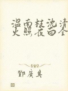 温南枝沈清宴烟火照夜白全文在线阅读