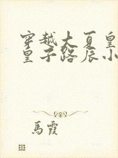 穿越大夏皇朝九皇子路辰小说