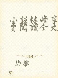 小说林峰宁欣免费阅读全文无弹窗