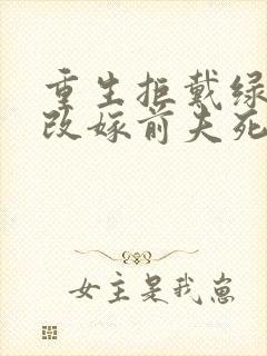 重生拒戴绿帽我改嫁前夫死对头