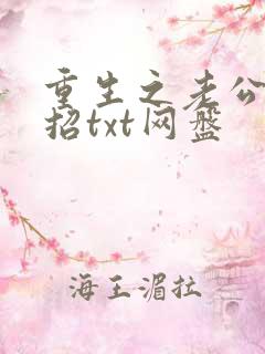 重生之老公请接招txt网盘