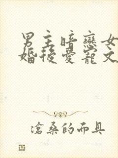 男主暗恋女主先婚后爱宠文