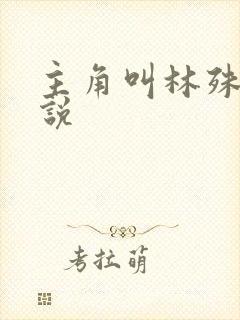 主角叫林殊的小说