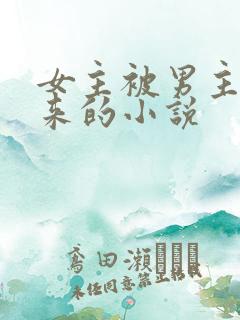 女主被男主买回来的小说