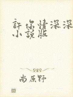 许你情深深似海小说版