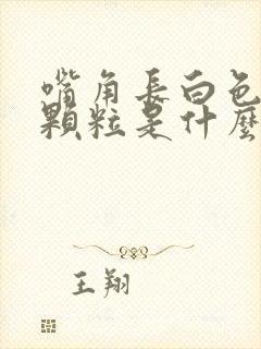 嘴角长白色的小颗粒是什么原因