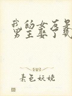 我的女友是恶女男主娶了几个