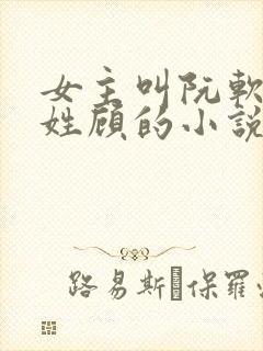 女主叫阮软男主姓顾的小说