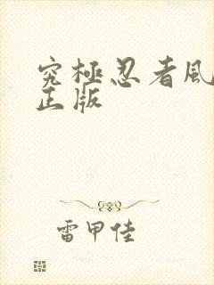 究极忍者风暴4正版