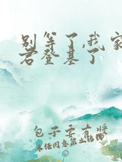 别等了,我家夫君登基了