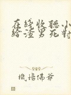 在线收听小说嫁给渣男死对头