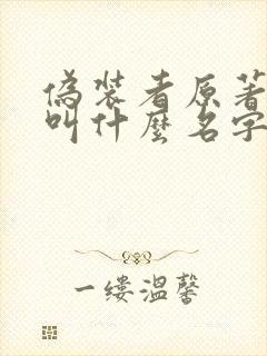 伪装者原著小说叫什么名字