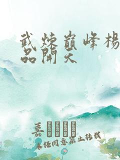 武炼巅峰杨开几品开天