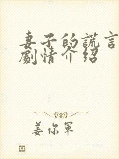 妻子的谎言分集剧情介绍