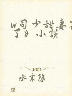 w司少甜妻宠定了》小说
