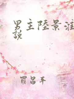 男主陆景淮的小说