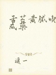 舌苔黄腻吃啥中成药