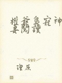 权爷枭宠神秘娇妻阅读