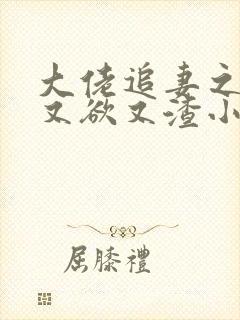 大佬追妻之夫人又欲又渣小说