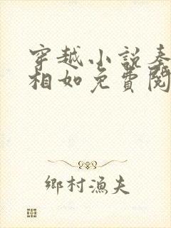 穿越小说秦墨秦相如免费阅读