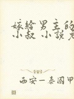 嫁给男主的反派小叔 小说免费阅读