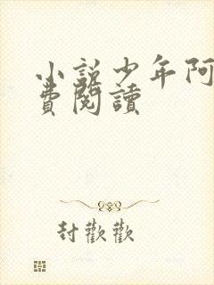 小说少年阿宾免费阅读