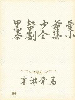 黑帮少爷爱上我泰剧全集小说