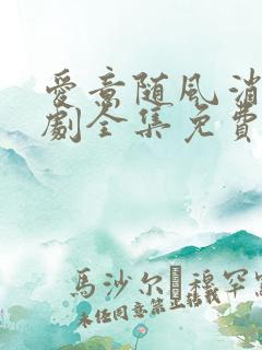 爱意随风消逝短剧全集免费版