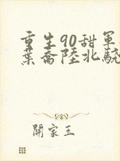 重生90甜军嫂叶乔陆北骁