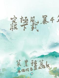 究极风暴4年度版下载