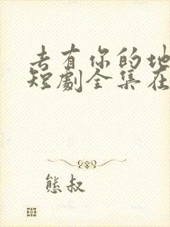 去有你的地方2短剧全集在线观看