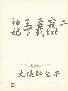 神王毒宠二嫁王妃下载txt