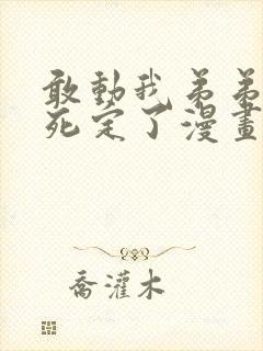 敢动我弟弟你们死定了漫画