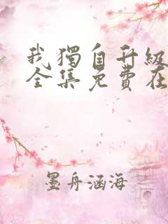 我独自升级动漫全集免费在线观看