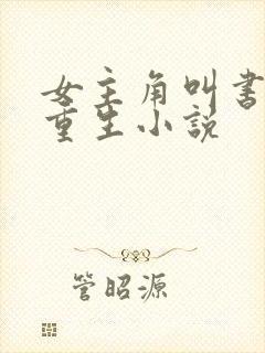 女主角叫书瑶的重生小说