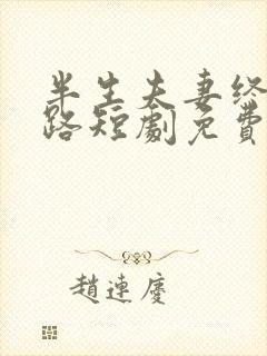 半生夫妻终成陌路短剧免费观看全集