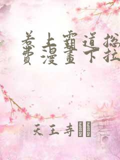 惹上霸道总裁免费漫画下拉式