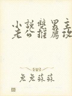 小说双男主虐文老公推荐攻略同人文