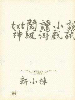 txt阅读小说神级游戏试炼场