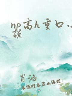 np高h重口小说