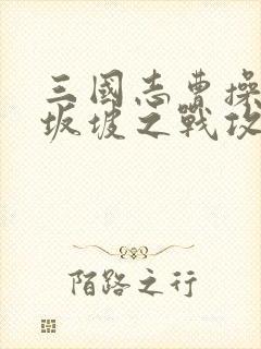 三国志曹操传长坂坡之战攻略