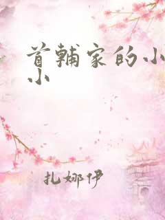 首辅家的小娇娘小