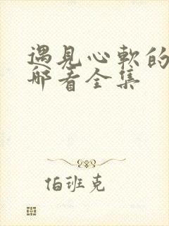 遇见心软的神在哪看全集