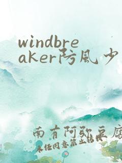 windbreaker防风少年漫画