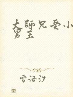 大师兄受小说双男主