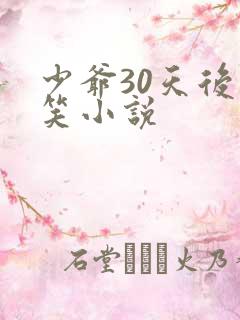 少爷30天后会笑小说